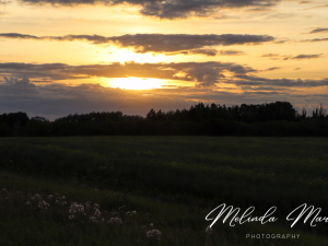 Beautiful Saskatchewan Country Sunset