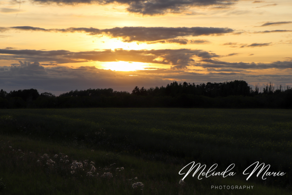 Sask-Sk-Sunset-Beautiful-LivingSkies-Canvas