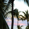 Palm Trees-Canvas-Print-Island Living- Beach
