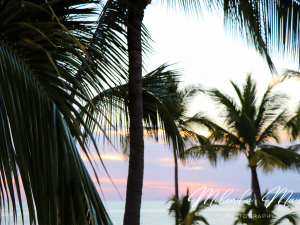Island Living