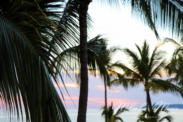 Palm Trees-Canvas-Print-Island Living- Beach