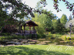Peaceful Nature Canvas