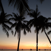 Palm Tree- Paradise- Sunset- Sunrise-Beautiful-Thailand-Travel-Canvas