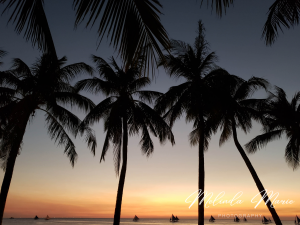 Sail Through Paradise Canvas