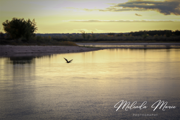 Sask-River-Beautiful-Canvas