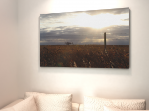 Saskatchewan Prairies