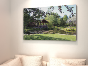 Peaceful Nature Canvas