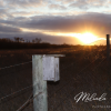 country-living-sk-sunset-canvas