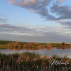 Saskatchewan-Praries-Sk-Livingskies-Canvas