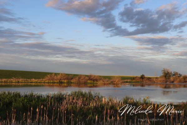 Saskatchewan-Praries-Sk-Livingskies-Canvas