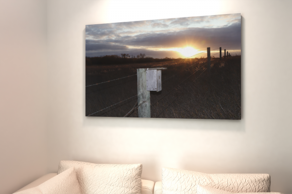 country-living-sk-sunset-canvas