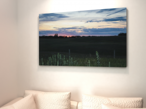 Take A Back Road Canvas