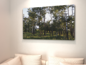 Saskatchewan Tree Canvas