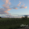 saskatchewan-sk-country-living-trees-nature-canvas
