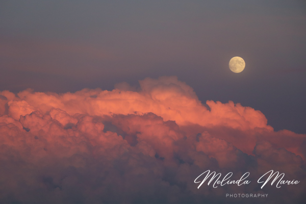 Saskatchewan-sunset-moon-living-skies-canvas