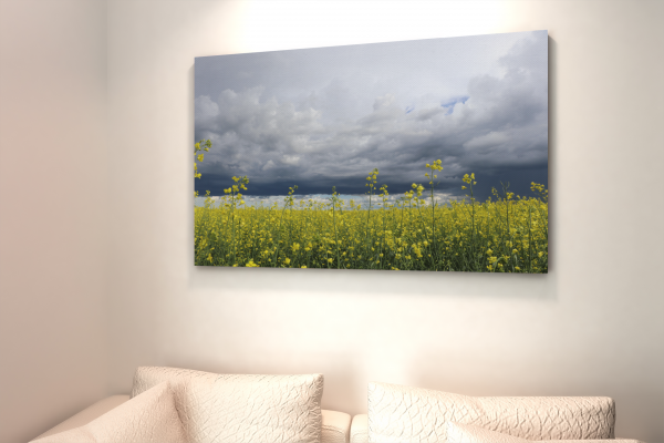Saskatchewan-Storm-Beautiful-Living-Skies-Canvas