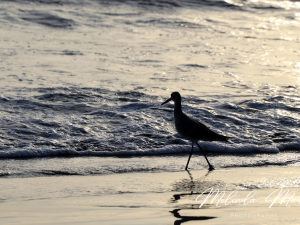 Rediscover Yourself Canvas