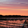 Sask-Sunset-beautiful-living-skies-canvas