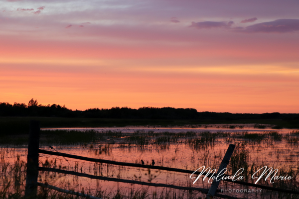 Sask-Sunset-beautiful-living-skies-canvas