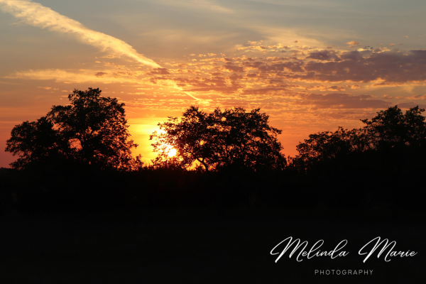 Sask-Sunset-Living-Skies-Canvas