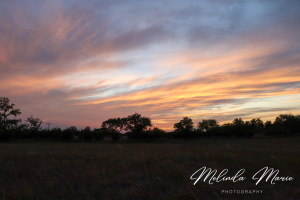 SaskSunset