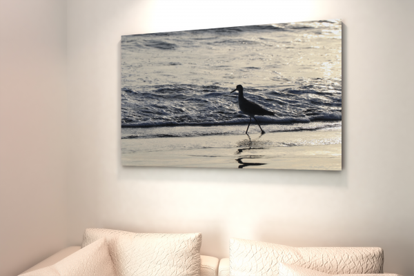 Beautiful-Bird-Canvas-Wall-art-Sk