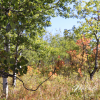 fall-autumn-sk-canvas-prints