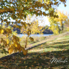 Fall-autumn-leaves-beautiful-print-canvas