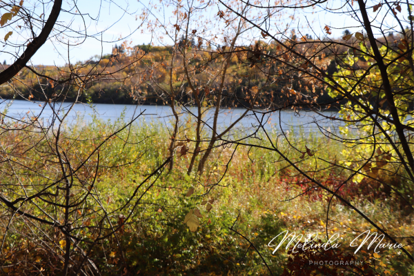 Beautiful-fall-autumn-canvas-print-home-decor