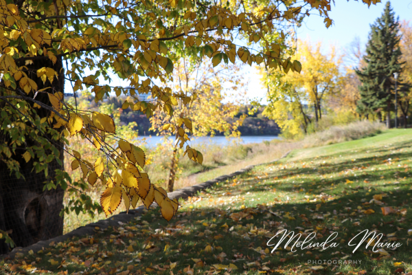 Fall-autumn-leaves-beautiful-print-canvas